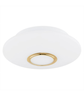 Chicago Flush Ceiling 2 Light Opal Matt Brass Elements-2
