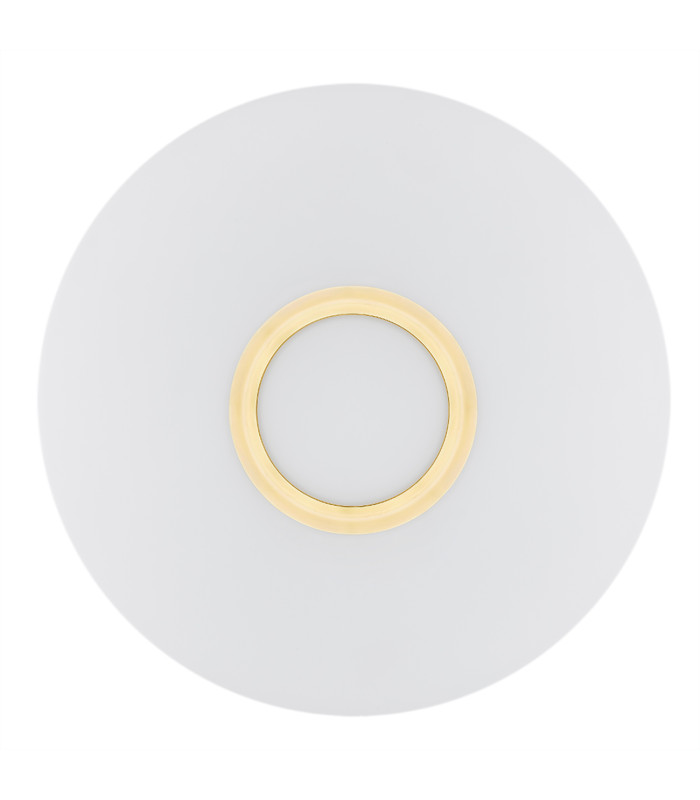 Chicago Flush Ceiling 2 Light Opal Matt Brass Elements-3