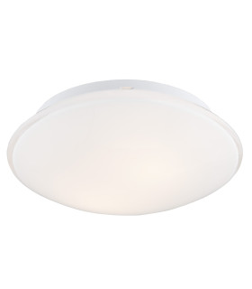 Gin Flush Ceiling 2 Light Opal Matt-1