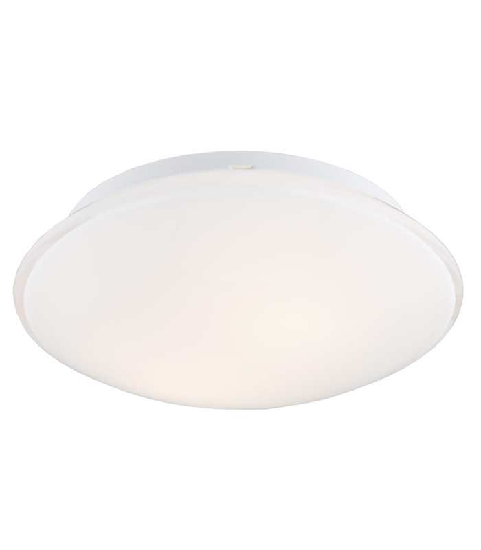 Gin Flush Ceiling 2 Light Opal Matt-1