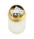 Hampton Surface Mounted Downlight Transparent (Fluted) Brushed Brass-4
