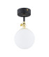 Latina Globe Ceiling Light Black Structure Brass Steel IP44-1