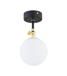 Latina Globe Ceiling Light Black Structure Brass Steel IP44-1