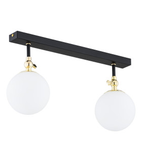 Latina Globe Ceiling 2 Light Black Structure Brass Steel IP44-1