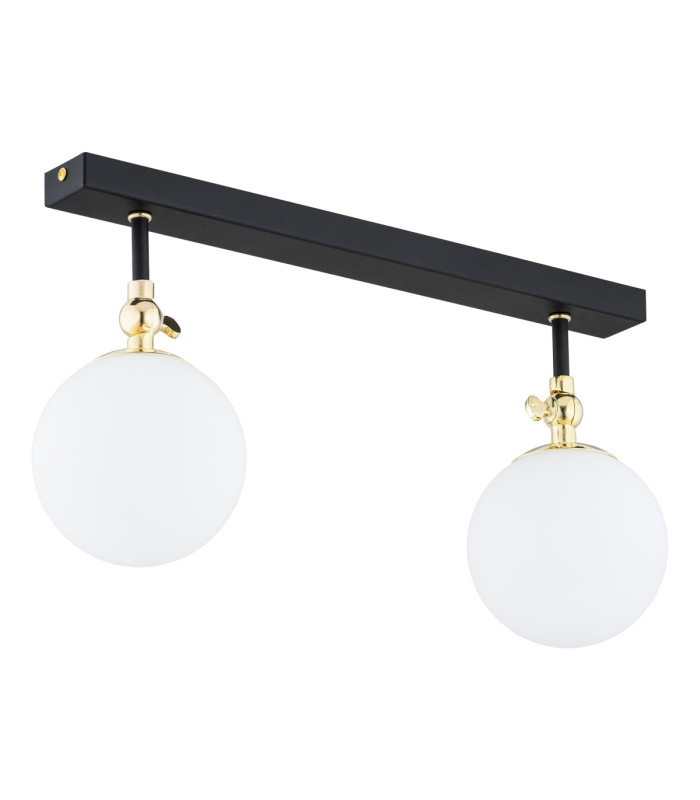 Latina Globe Ceiling 2 Light Black Structure Brass Steel IP44-1