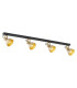 Lenora Ceiling Spotlight Bar Gold Black-1