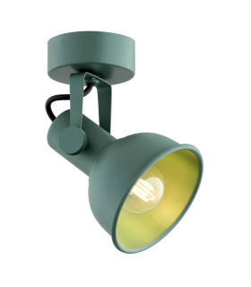 Lenora Single Spotlight Green-1
