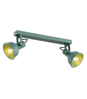 Lenora Twin Ceiling Spotlight Green-1