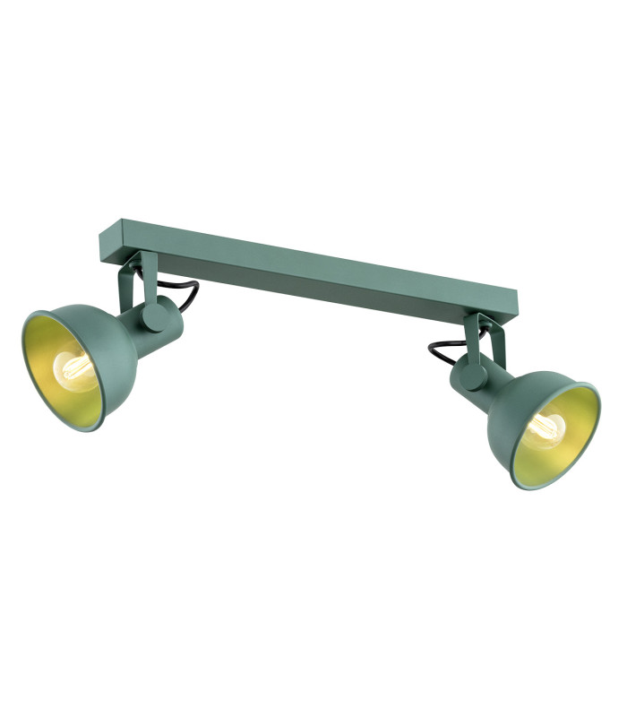 Lenora Twin Ceiling Spotlight Green-1