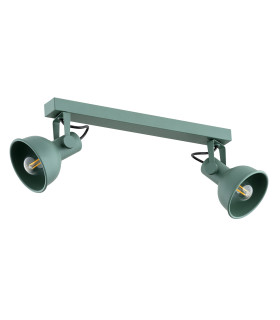 Lenora Twin Ceiling Spotlight Green-2