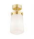 Pasadena Surface Mounted Downlight White Shine Brass Steel IP44-1