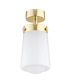 Pasadena Surface Mounted Downlight White Shine Brass Steel IP44-2