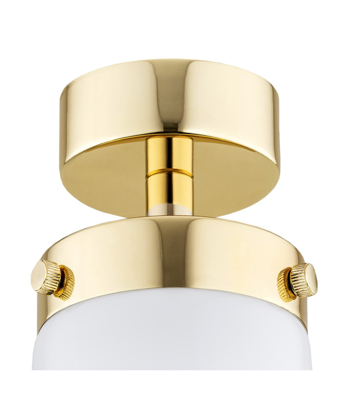 Pasadena Surface Mounted Downlight White Shine Brass Steel IP44-3