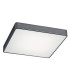 Ontario Flush Ceiling Light Dark-Grey Structure 35cm-1
