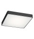 Ontario Flush Ceiling Light Black Structure 25cm-1