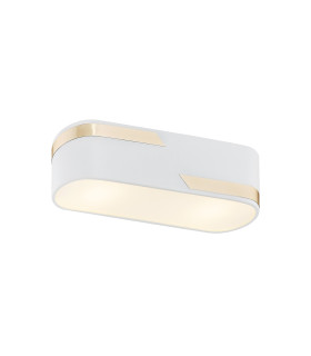 Toni Surface Mounted Downlight Milky White Structure With Gold Strip 30cm-1