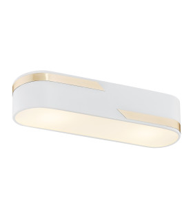 Toni Surface Mounted Downlight Milky White Structure With Gold Strip 50cm-1