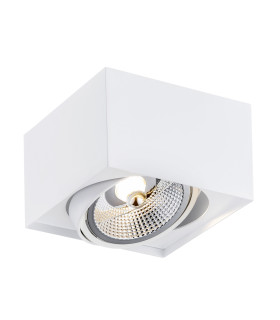 Rodos Plus GU10 Single Surface Mounted Downlight White Structure-1