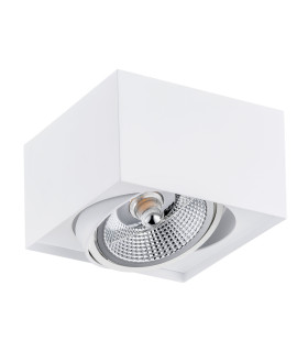 Rodos Plus GU10 Single Surface Mounted Downlight White Structure-2