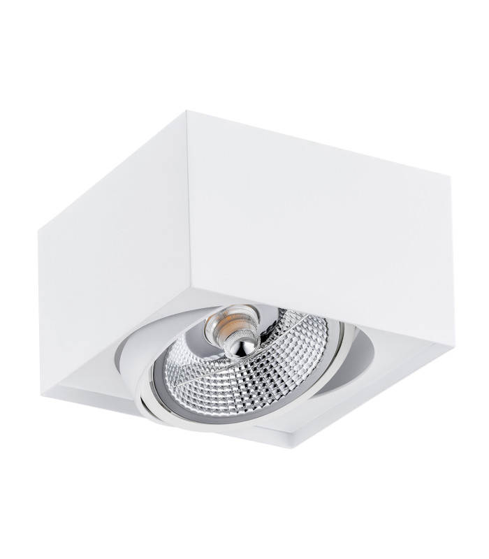 Rodos Plus GU10 Single Surface Mounted Downlight White Structure-2