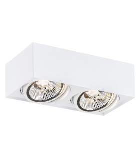 Rodos Plus GU10 Twin Surface Mounted Downlight White Structure-1