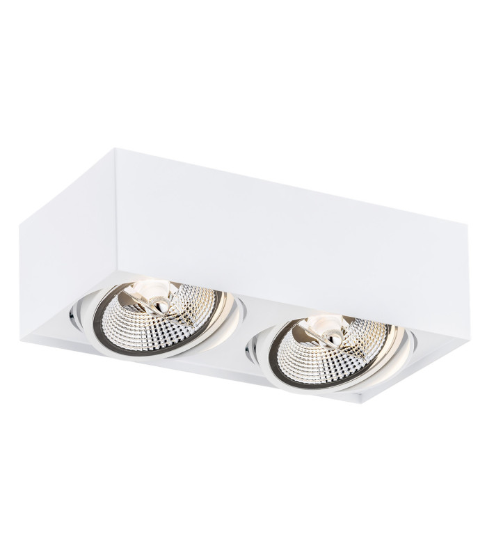 Rodos Plus GU10 Twin Surface Mounted Downlight White Structure-1