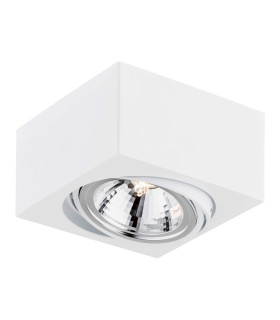 Rodos Single Surface Mounted Downlight White Structure-1