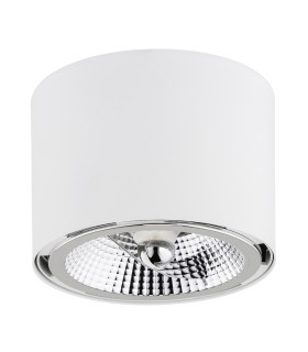 Clevland Surface Mounted Downlight White Structure-2
