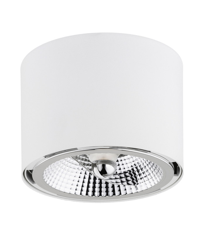 Clevland Surface Mounted Downlight White Structure-2