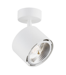 Clevland Single Spotlight White Structure-1