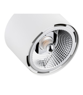 Clevland Single Spotlight White Structure-2