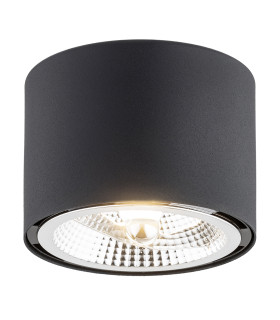 Clevland Surface Mounted Downlight Black Structure-1