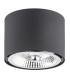Clevland Surface Mounted Downlight Black Structure-2