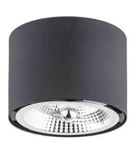 Clevland Surface Mounted Downlight Black Structure-2