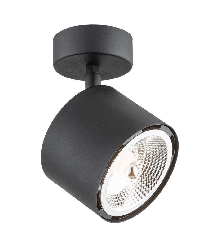 Clevland Single Spotlight Black Structure-1