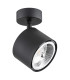 Clevland Single Spotlight Black Structure-3