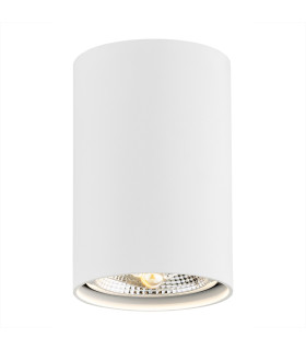 Tubo Surface Mounted Downlight White Structure 3000K-1