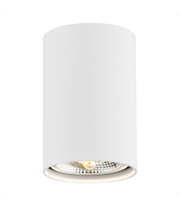 Tubo Surface Mounted Downlight White Structure 3000K-1