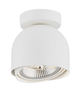 Garland Surface Mounted Downlight White Structure-1