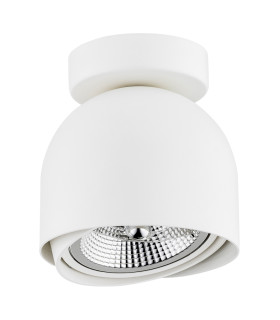 Garland Surface Mounted Downlight White Structure-2