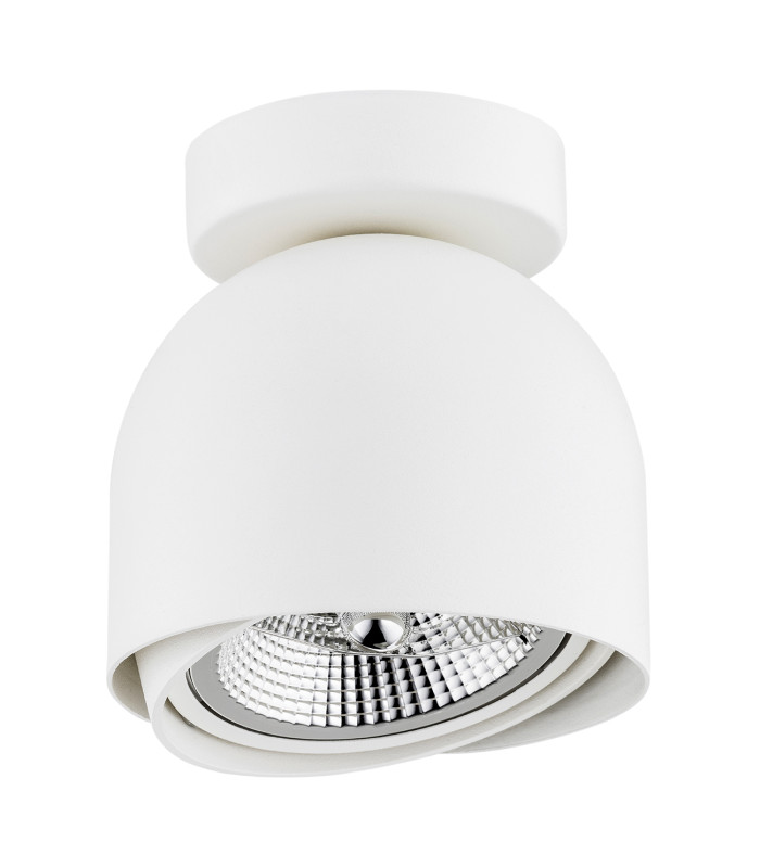 Garland Surface Mounted Downlight White Structure-2