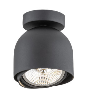 Garland Surface Mounted Downlight Black Structure-1