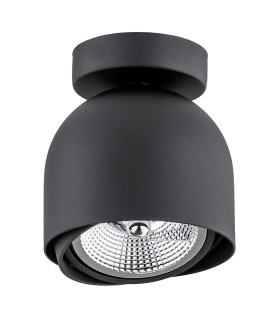 Garland Surface Mounted Downlight Black Structure-2