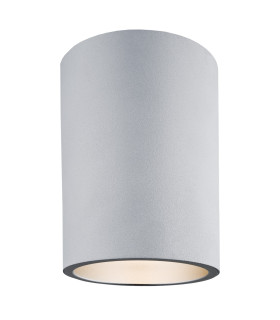 Tyber1 Surface Mounted Downlight Silver Structure-1