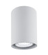Tyber2 Surface Mounted Downlight Silver Structure-1