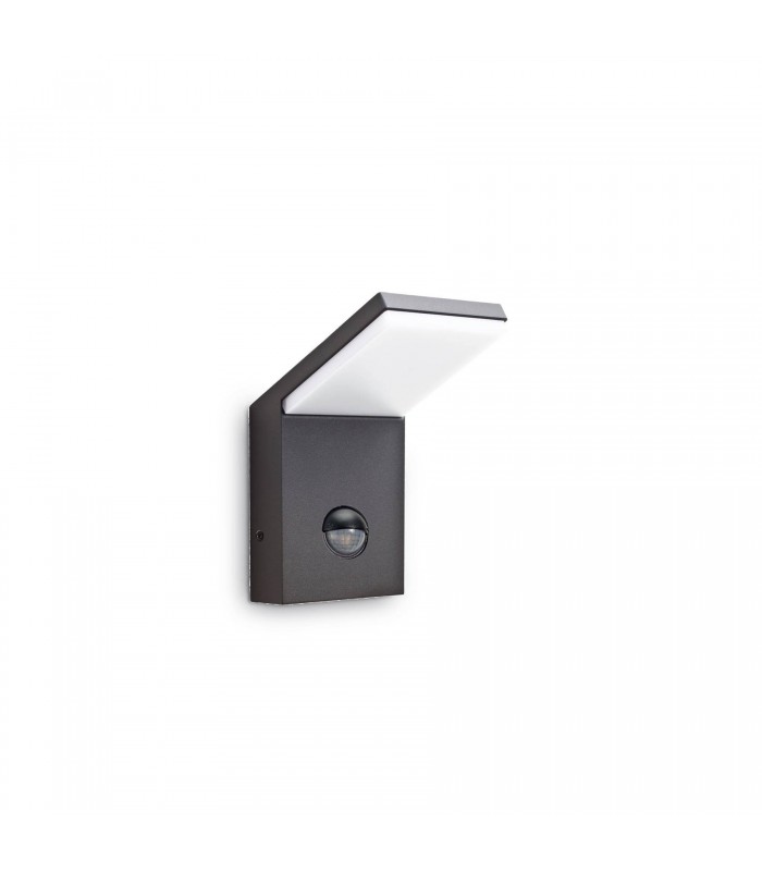 LED 1 Light Outdoor Wall Light Anthracite IP54 - 1