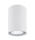 Tyber2 Surface Mounted Downlight White Structure-1