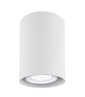 Tyber2 Surface Mounted Downlight White Structure-1