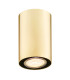 Tyber Plus Surface Mounted Downlight Brass Steel-1