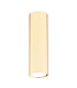 Tyber Plus Tall Surface Mounted Downlight Brass Steel-1